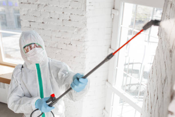 Best Mold Remediation for Healthcare Facilities  in Copperton, UT