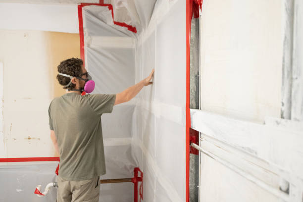 Best Commercial Mold Inspection  in Copperton, UT