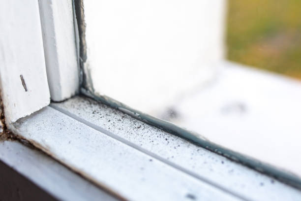 Best Comprehensive Air Testing for Mold Contaminants  in Copperton, UT