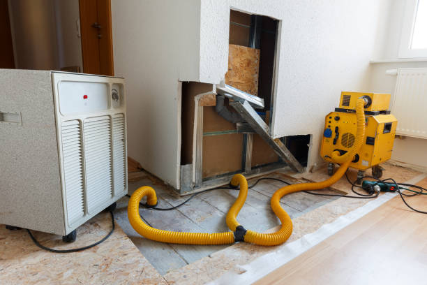 Best Mold Documentation for Insurance Claims  in Copperton, UT